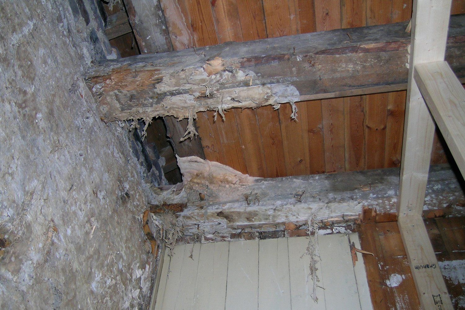 et bilde av fukt-og soppskadet byningskonstruksjon et bilde av fukt-og soppskadet byningskonstruksjon