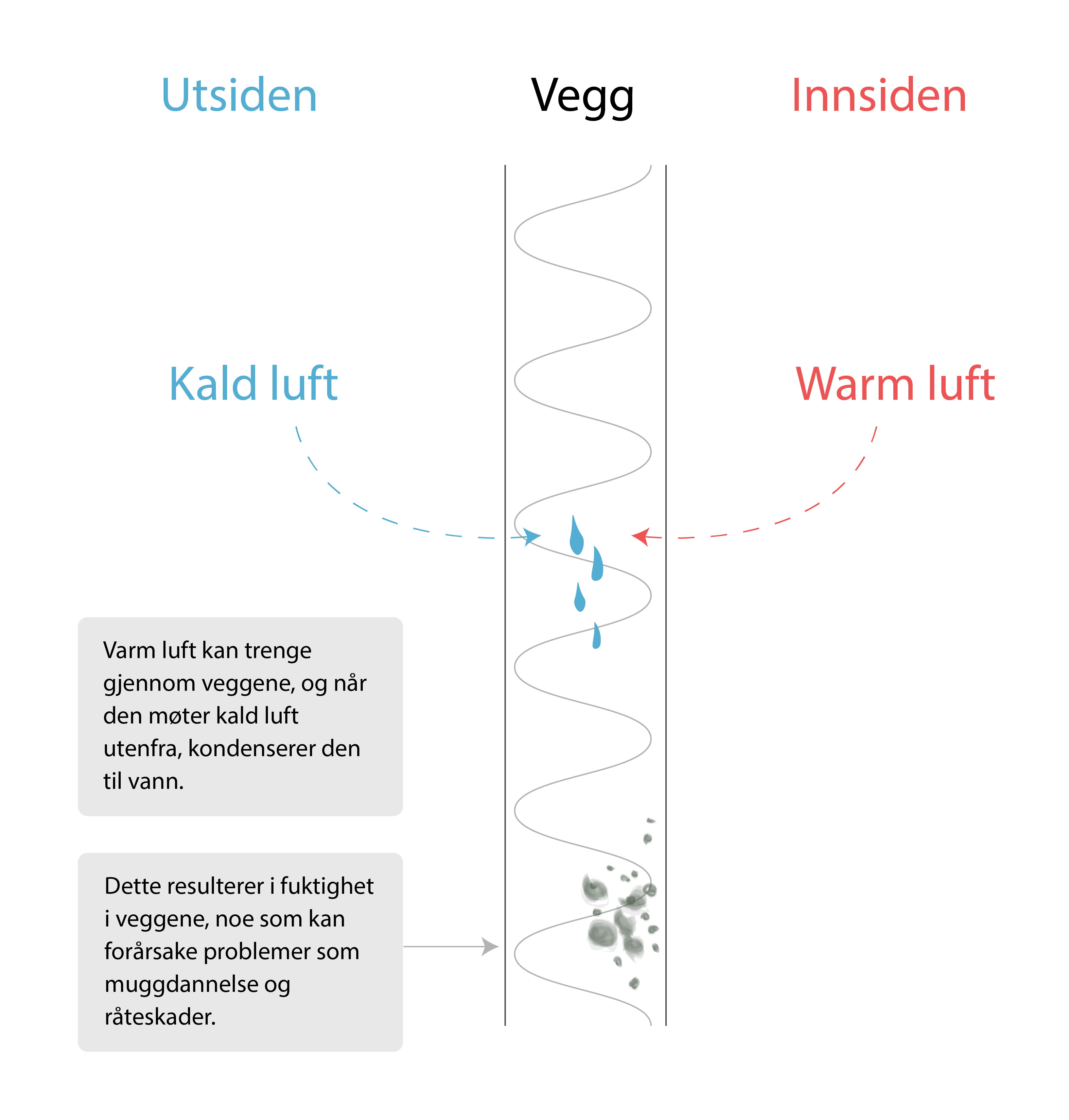 Fuktighet i veggene Vegg uten dampsperre