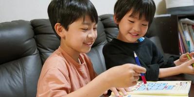 two brothers writing in a book