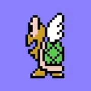 Koopa Paratroopa or pata pata in Japanese in the Super Mario Bros. series