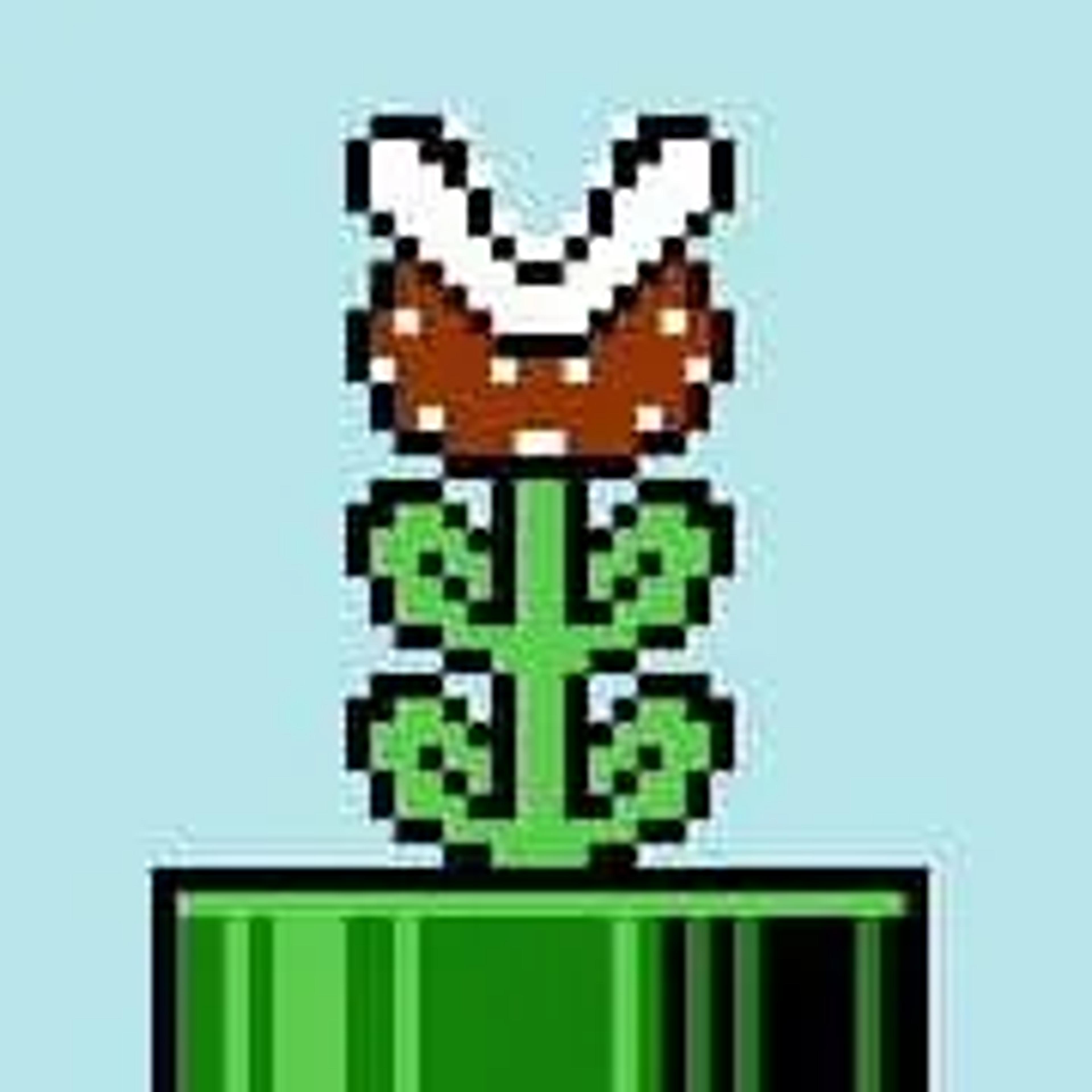 Pirahna Plant or pakkun flower in Japanese in the Super Mario Bros. series