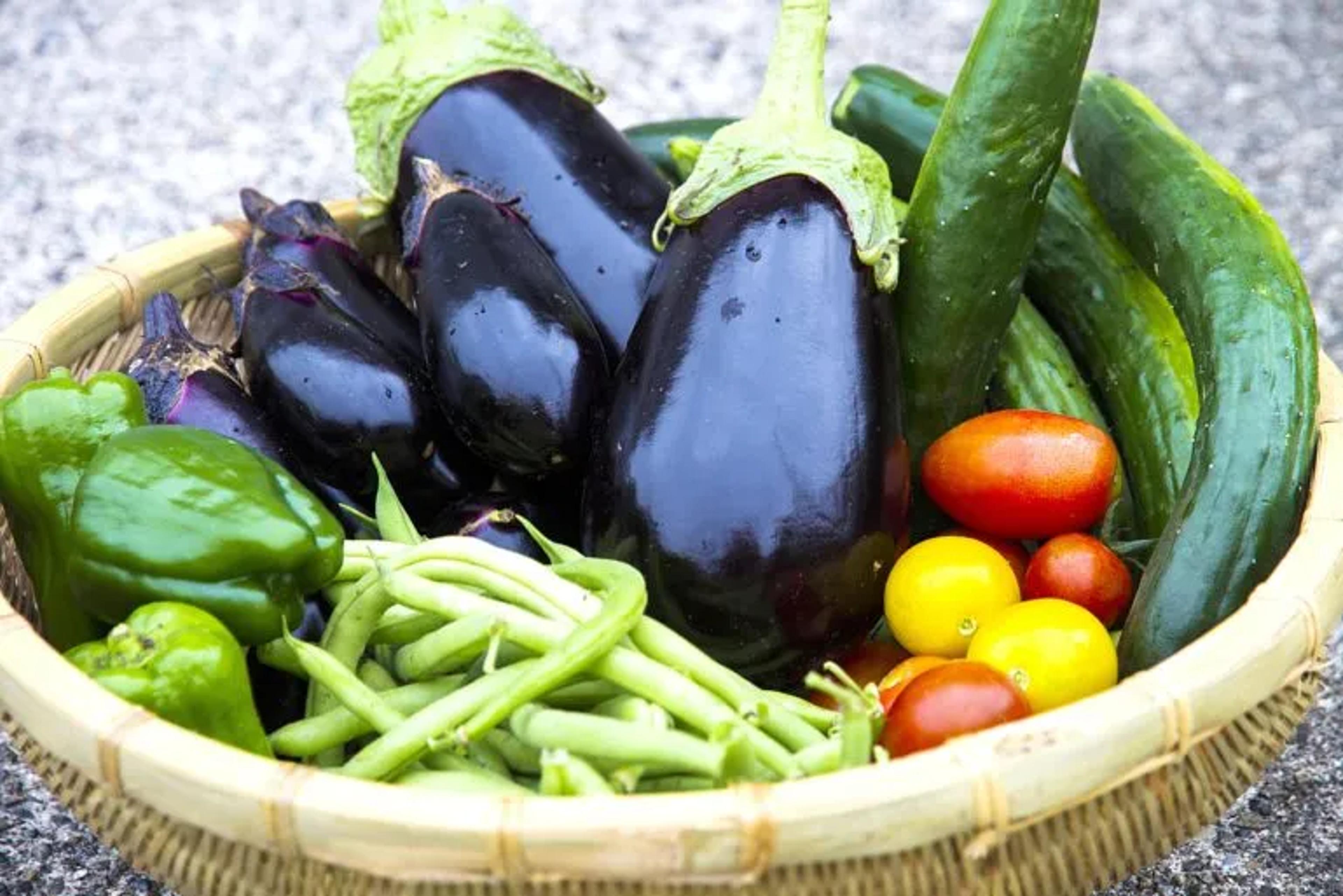 Japanese Summer Vegetables