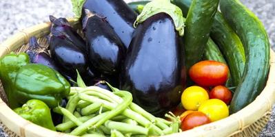 Japanese Summer Vegetables