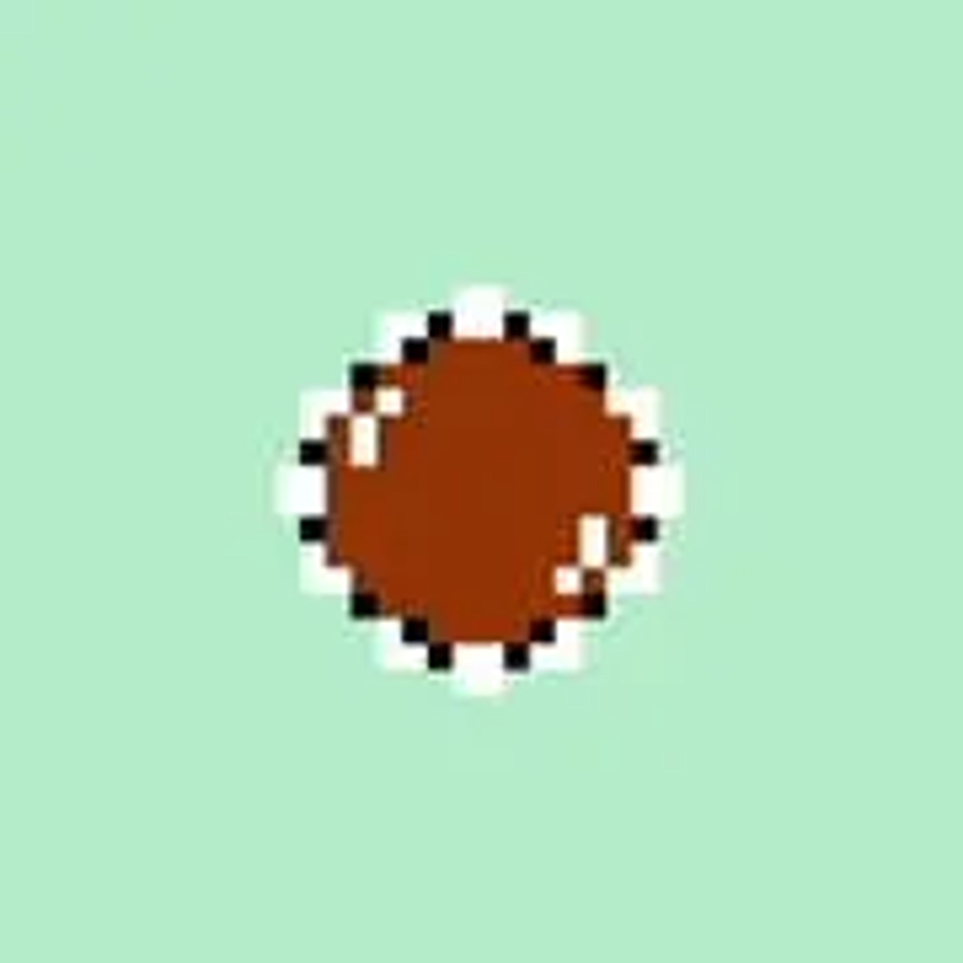 Spiney egg or Paipo in Japanese in the Super Mario Bros. series