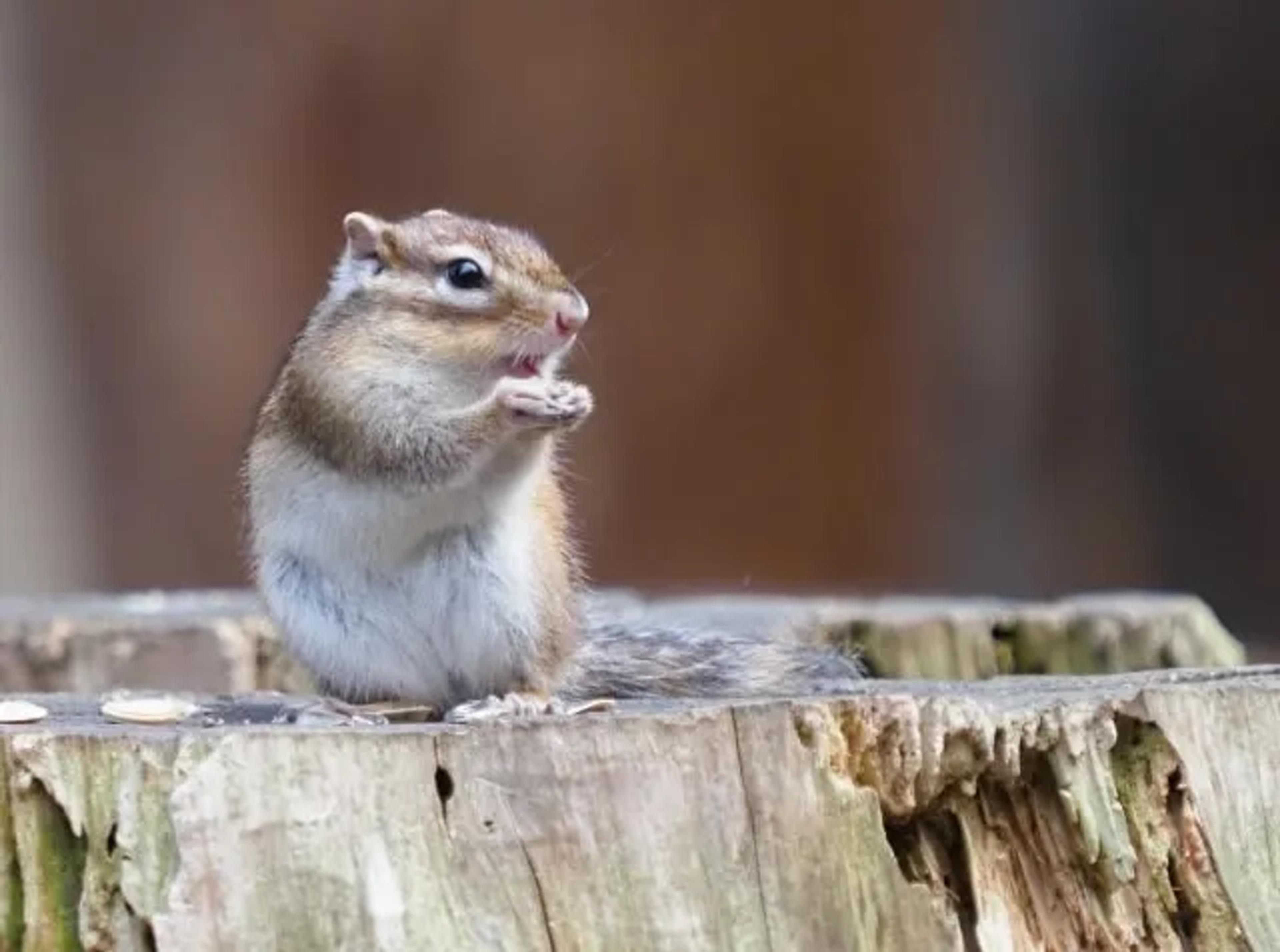 記事のメイン画像