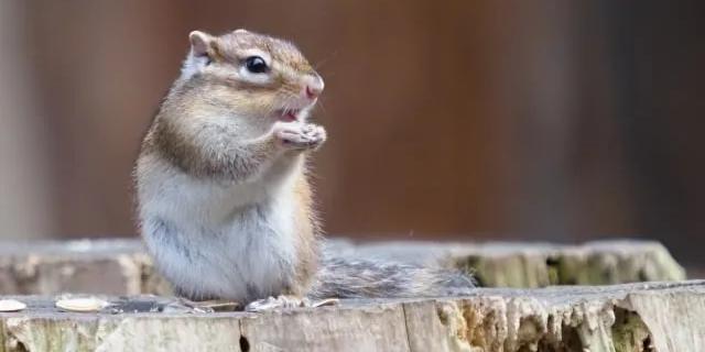 記事のメイン画像