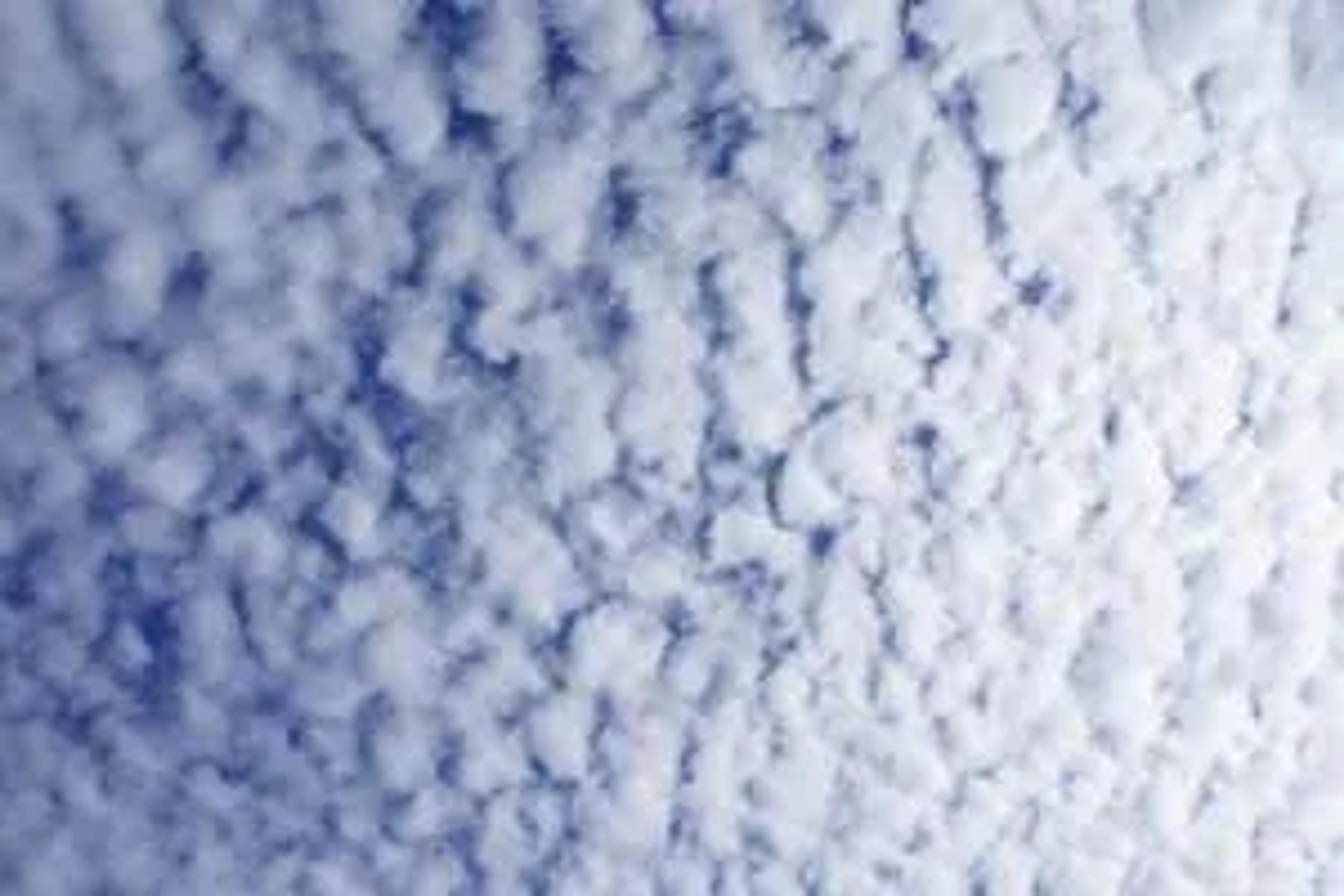 Sheep Clouds