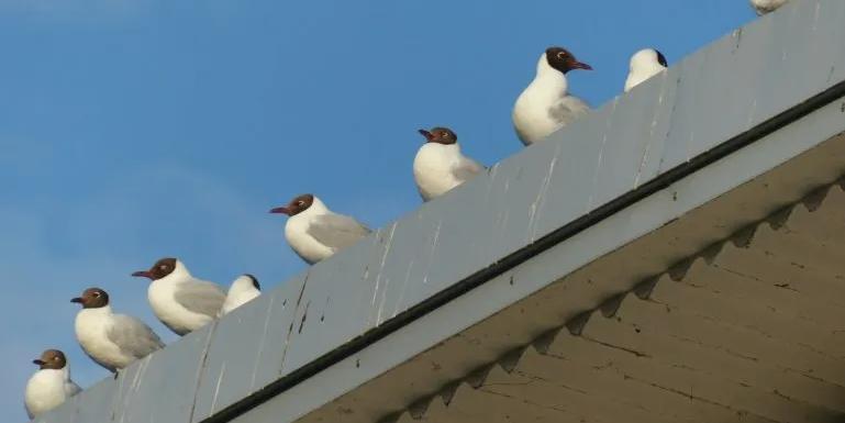 記事のメイン画像