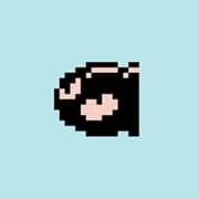 Bull's Eye Bill or Kira- in Japanese in the Super Mario Bros. series