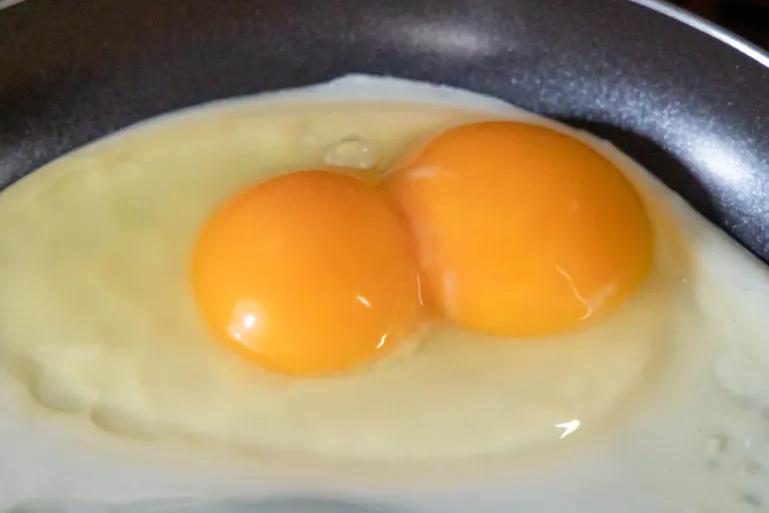 twin yokes in an egg