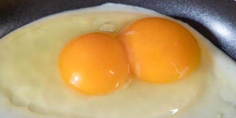 twin yokes in an egg