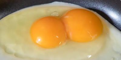 twin yokes in an egg