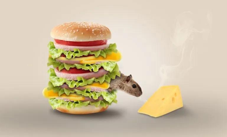 image of mouse with oishisou na cheese and burger