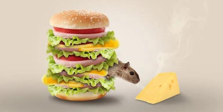 image of mouse with oishisou na cheese and burger