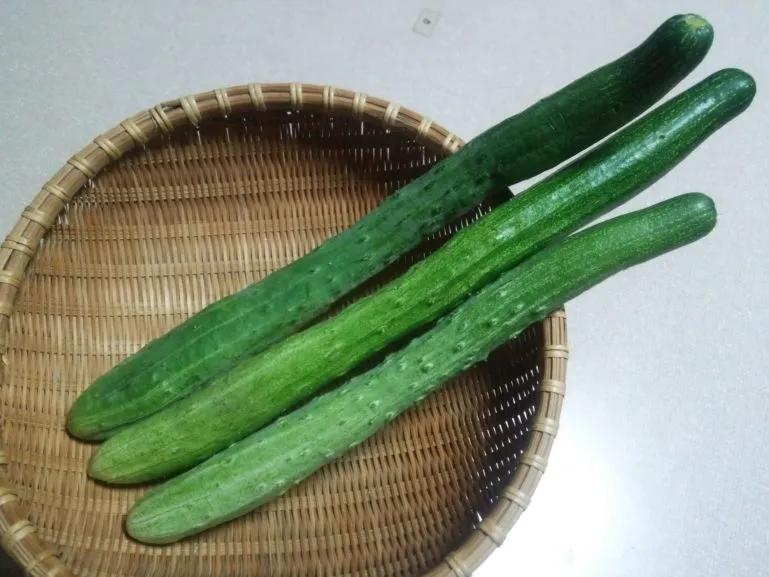 Japanese cucumbers