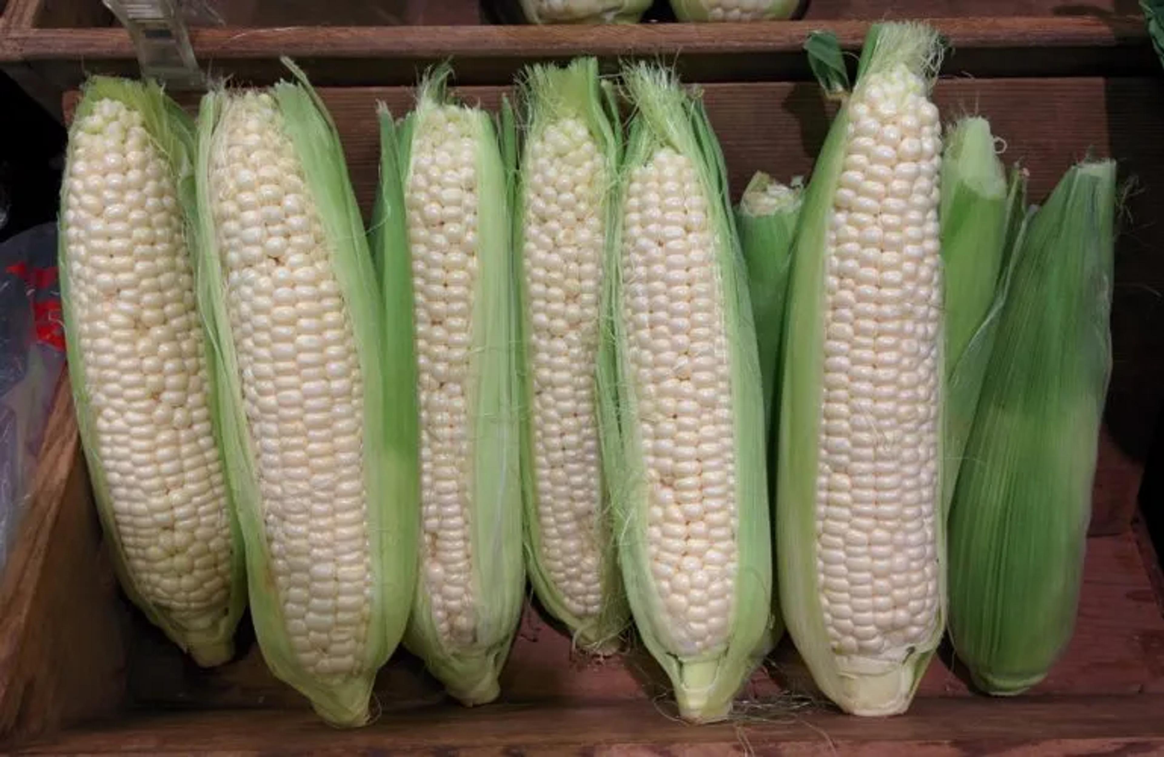 Japanese corn