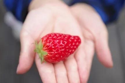 Someone handing a strawberry