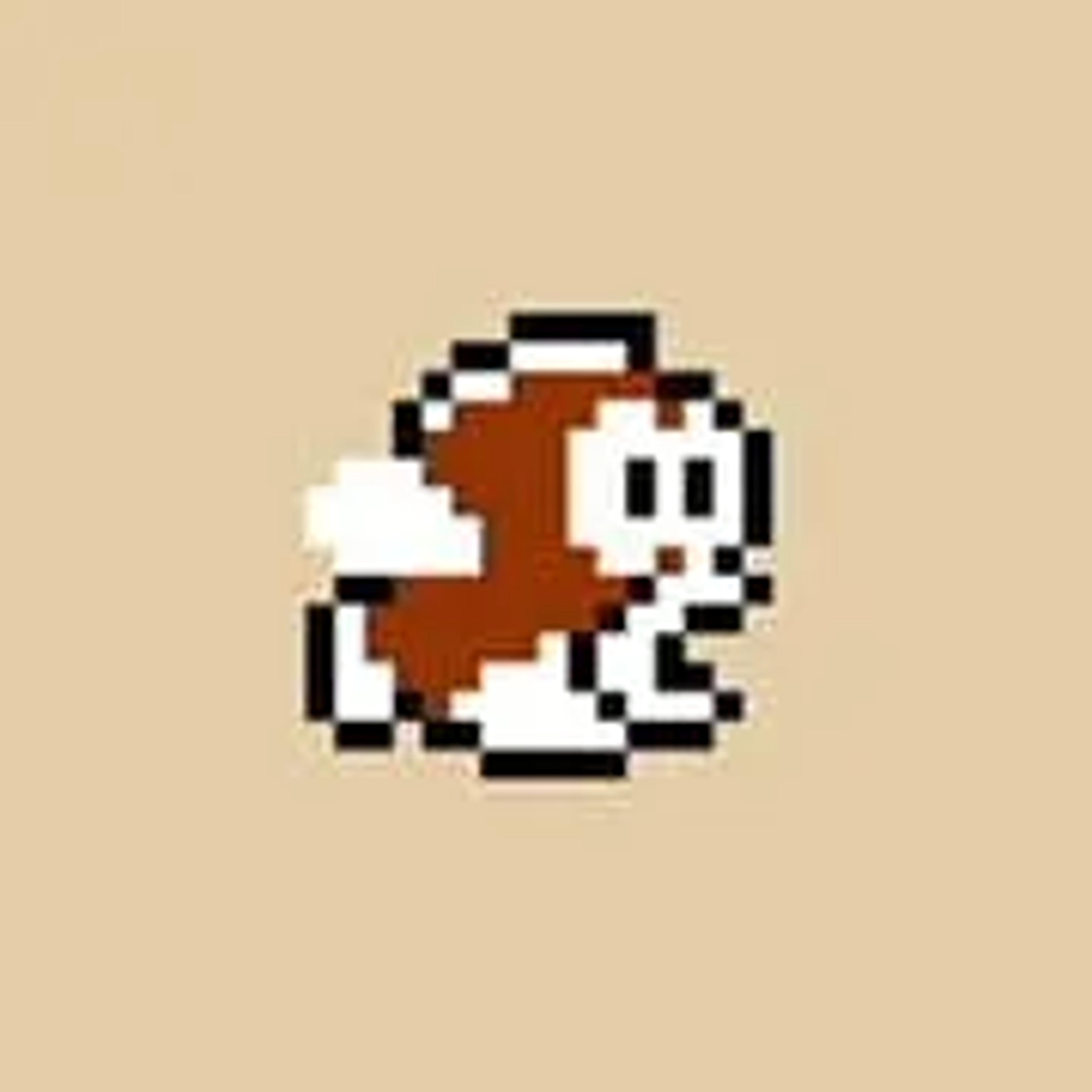 Cheep Cheep or Puku Puku in Japanese in the Super Mario Bros. series