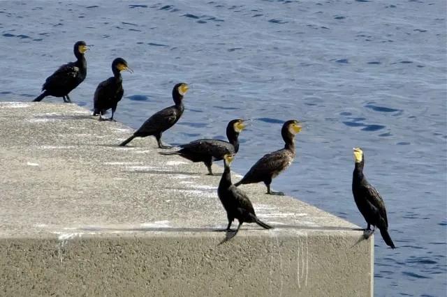 記事のメイン画像