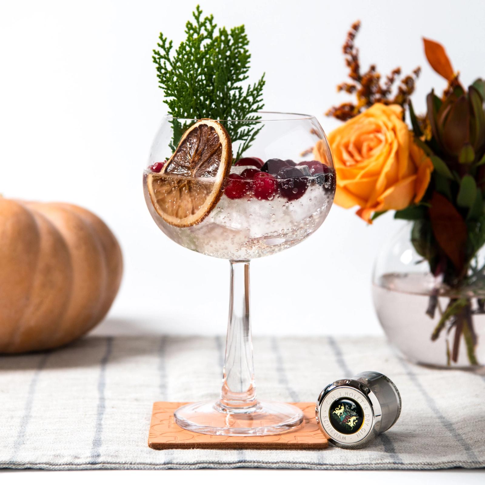 NOLET'S Silver Thanksgiving Gin and Soda
