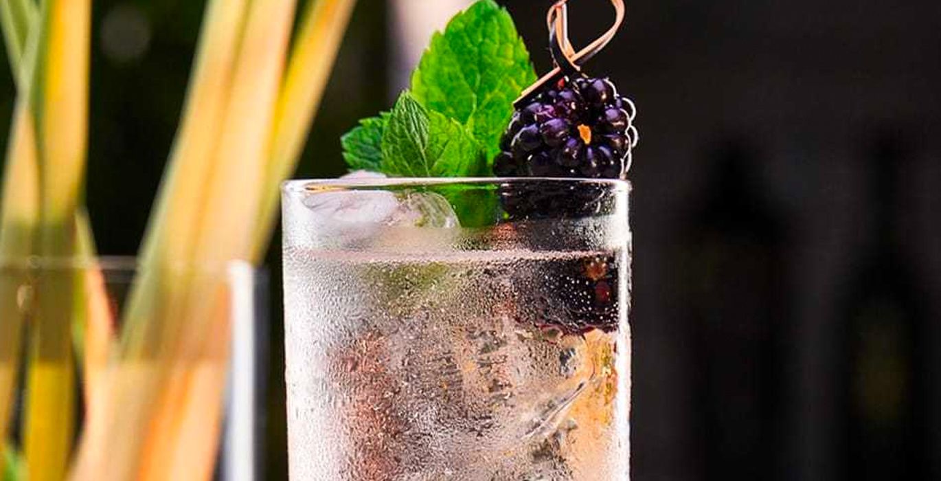 Blackberry & Lemongrass Soda