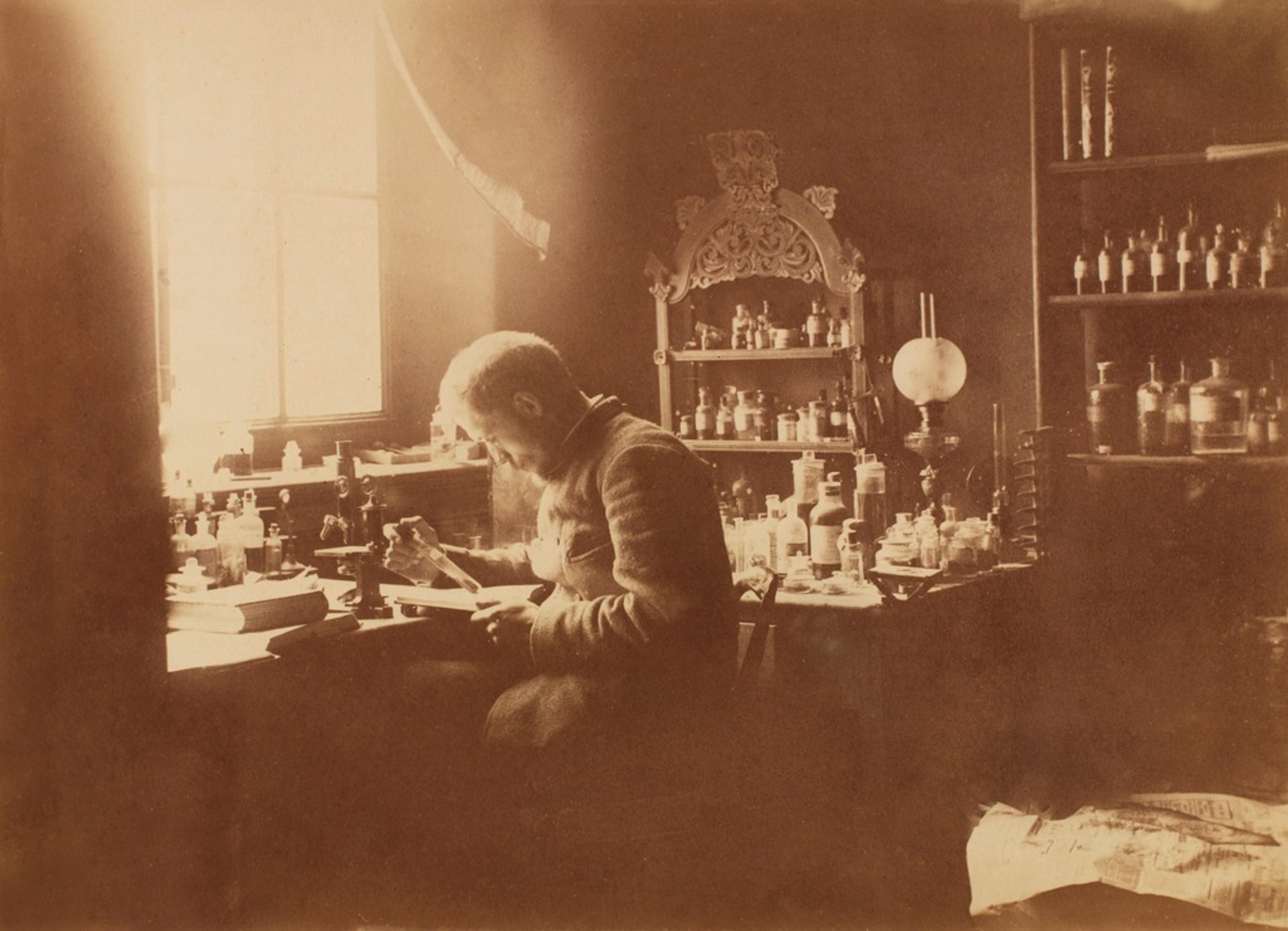 [Fridtjof Nansen i sitt laboratorium ved Bergen Museum]