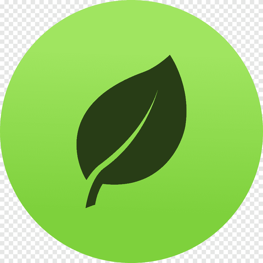 mongoDB