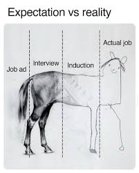 How to Tailor Your Resume to Job Descriptions