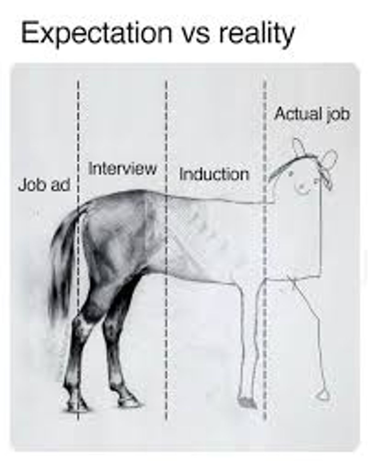 How to Tailor Your Resume to Job Descriptions