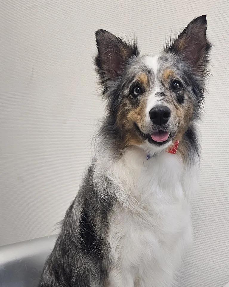 Professionele Trimsalon​​​​‌﻿‍﻿​‍​‍‌‍﻿﻿‌﻿​‍‌‍‍‌‌‍‌﻿‌‍‍‌‌‍﻿‍​‍​‍​﻿‍‍​‍​‍‌﻿​﻿‌‍​‌‌‍﻿‍‌‍‍‌‌﻿‌​‌﻿‍‌​‍﻿‍‌‍‍‌‌‍﻿﻿​‍​‍​‍﻿​​‍​‍‌‍‍​‌﻿​‍‌‍‌‌‌‍‌‍​‍​‍​﻿‍‍​‍​‍‌‍‍​‌﻿‌​‌﻿‌​‌﻿​​‌﻿​﻿​﻿‍‍​‍﻿﻿​‍﻿﻿‌‍‌​‌‍﻿﻿‌‍‌﻿‌﻿‌﻿‌‍​‌‌﻿​﻿‌‍‍​​‍﻿‌‌﻿​﻿‌‍​‌‌‍﻿​‌‍﻿﻿‌‍﻿‍​‍﻿‍‌﻿​﻿‌‍​‌‌‍﻿‍‌‍‍‌‌﻿‌​‌﻿‍‌​‍﻿‍‌﻿​﻿‌﻿‌​‌﻿‌‌‌‍‌​‌‍‍‌‌‍﻿﻿​‍﻿﻿‌‍‍‌‌‍﻿‍‌﻿‌​‌‍‌‌‌‍﻿‍‌﻿‌​​‍﻿﻿‌‍‌‌‌‍‌​‌‍‍‌‌﻿‌​​‍﻿﻿‌‍﻿‌‌‍﻿﻿‌‍‌​‌‍‌‌​﻿﻿‌‌﻿​​‌﻿​‍‌‍‌‌‌﻿​﻿‌‍‌‌‌‍﻿‍‌﻿‌​‌‍​‌‌﻿‌​‌‍‍‌‌‍﻿﻿‌‍﻿‍​﻿‍﻿‌‍‍‌‌‍‌​​﻿﻿‌‌‍‍​‌‍﻿﻿‌‍﻿‌‌‍‌‌‌‌​​‌‍​‌‌‍‌﻿‌‍‌‌​﻿‍﻿‌﻿‌​‌﻿‍‌‌﻿​​‌‍‌‌​﻿﻿‌‌‍‍​‌‍﻿﻿‌‍﻿‌‌‍‌‌‌‌​​‌‍​‌‌‍‌﻿‌‍‌‌​﻿‍﻿‌﻿​​‌‍​‌‌﻿‌​‌‍‍​​﻿﻿‌‌﻿‌‌‌﻿​﻿‌﻿​​‌﻿​﻿​‍﻿‍‌‍‍‌‌﻿‌​‌‍‌‌‌‍﻿‌‌﻿​﻿​‍‌‌​﻿‌‌‌​​‍‌‌﻿﻿‌‍‍﻿‌‍‌‌‌﻿‍‌​‍‌‌​﻿​﻿‌​‌​​‍‌‌​﻿​﻿‌​‌​​‍‌‌​﻿​‍​﻿​‍‌﻿‌‌‌﻿​﻿‌﻿​​​﻿​‌​‍‌‌​﻿​‍​﻿​‍​‍‌‌​﻿‌‌‌​‌​​‍﻿‍‌﻿‌​‌‍‍‌‌﻿‌​‌‍﻿​‌‍‌‌​﻿﻿﻿‌‍​‍‌‍​‌‌﻿​﻿‌‍‌‌‌‌‌‌‌﻿​‍‌‍﻿​​﻿﻿‌‌‍‍​‌﻿‌​‌﻿‌​‌﻿​​‌﻿​﻿​‍‌‌​﻿​﻿‌​​‌​‍‌‌​﻿​‍‌​‌‍​‍‌‌​﻿​‍‌​‌‍‌‍‌​‌‍﻿﻿‌‍‌﻿‌﻿‌﻿‌‍​‌‌﻿​﻿‌‍‍​​‍﻿‌‌﻿​﻿‌‍​‌‌‍﻿​‌‍﻿﻿‌‍﻿‍​‍﻿‍‌﻿​﻿‌‍​‌‌‍﻿‍‌‍‍‌‌﻿‌​‌﻿‍‌​‍﻿‍‌﻿​﻿‌﻿‌​‌﻿‌‌‌‍‌​‌‍‍‌‌‍﻿﻿​‍‌‍‌‍‍‌‌‍‌​​﻿﻿‌‌‍‍​‌‍﻿﻿‌‍﻿‌‌‍‌‌‌‌​​‌‍​‌‌‍‌﻿‌‍‌‌​‍‌‍‌﻿‌​‌﻿‍‌‌﻿​​‌‍‌‌​﻿﻿‌‌‍‍​‌‍﻿﻿‌‍﻿‌‌‍‌‌‌‌​​‌‍​‌‌‍‌﻿‌‍‌‌​‍‌‍‌﻿​​‌‍​‌‌﻿‌​‌‍‍​​﻿﻿‌‌﻿‌‌‌﻿​﻿‌﻿​​‌﻿​﻿​‍﻿‍‌‍‍‌‌﻿‌​‌‍‌‌‌‍﻿‌‌﻿​﻿​‍‌‌​﻿‌‌‌​​‍‌‌﻿﻿‌‍‍﻿‌‍‌‌‌﻿‍‌​‍‌‌​﻿​﻿‌​‌​​‍‌‌​﻿​﻿‌​‌​​‍‌‌​﻿​‍​﻿​‍‌﻿‌‌‌﻿​﻿‌﻿​​​﻿​‌​‍‌‌​﻿​‍​﻿​‍​‍‌‌​﻿‌‌‌​‌​​‍﻿‍‌﻿‌​‌‍‍‌‌﻿‌​‌‍﻿​‌‍‌‌​‍‌‍‌﻿​​‌‍‌‌‌﻿​‍‌﻿​﻿‌﻿​​‌‍‌‌‌‍​﻿‌﻿‌​‌‍‍‌‌﻿‌‍‌‍‌‌​﻿﻿‌‌﻿​​‌﻿‌‌‌‍​‍‌‍﻿​‌‍‍‌‌﻿​﻿‌‍‍​‌‍‌‌‌‍‌​​‍​‍‌﻿﻿‌