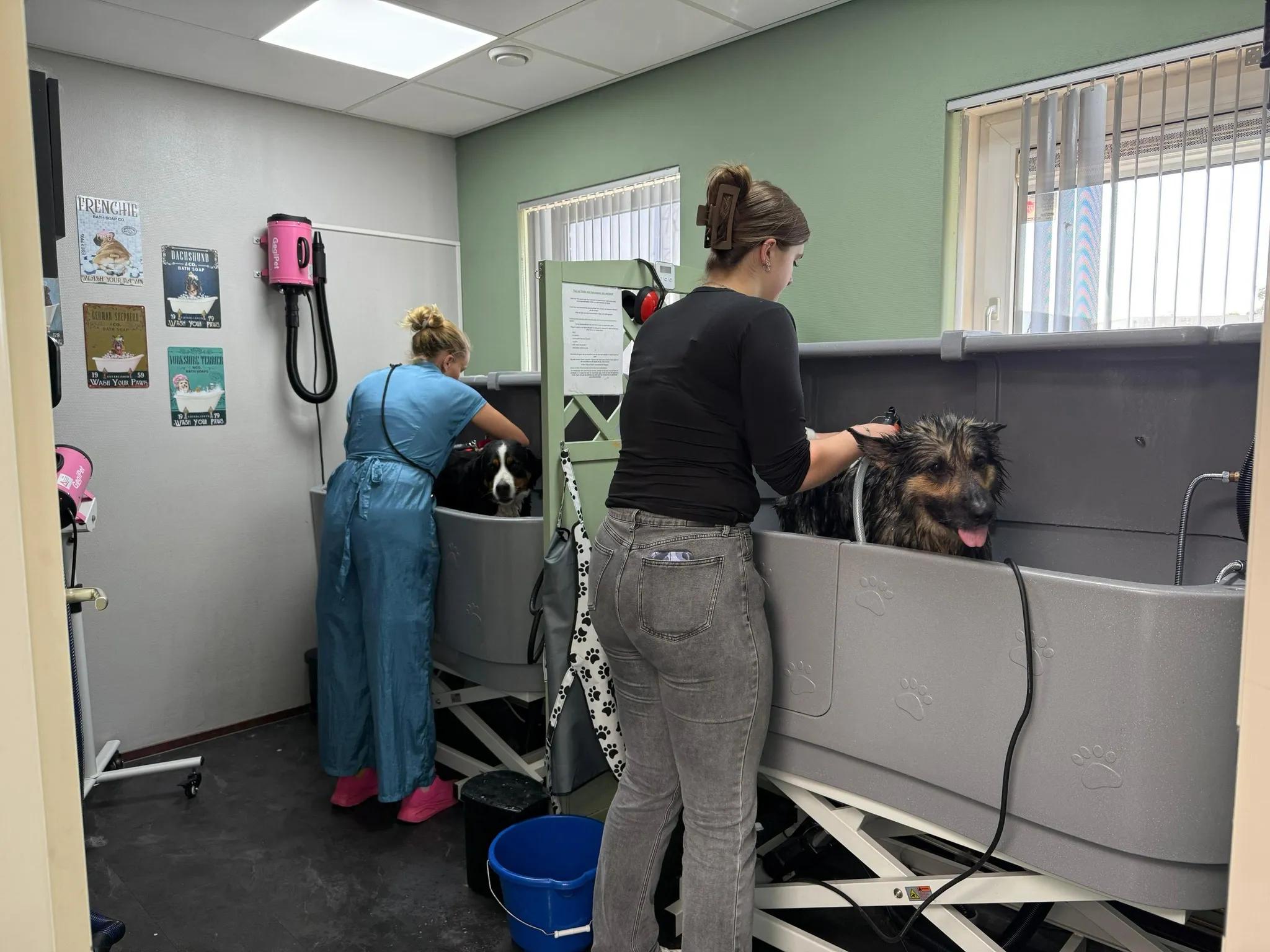 Groomingsbeurt​​​​‌﻿‍﻿​‍​‍‌‍﻿﻿‌﻿​‍‌‍‍‌‌‍‌﻿‌‍‍‌‌‍﻿‍​‍​‍​﻿‍‍​‍​‍‌﻿​﻿‌‍​‌‌‍﻿‍‌‍‍‌‌﻿‌​‌﻿‍‌​‍﻿‍‌‍‍‌‌‍﻿﻿​‍​‍​‍﻿​​‍​‍‌‍‍​‌﻿​‍‌‍‌‌‌‍‌‍​‍​‍​﻿‍‍​‍​‍‌‍‍​‌﻿‌​‌﻿‌​‌﻿​​‌﻿​﻿​﻿‍‍​‍﻿﻿​‍﻿﻿‌‍‌​‌‍﻿﻿‌‍‌﻿‌﻿‌﻿‌‍​‌‌﻿​﻿‌‍‍​​‍﻿‌‌﻿​﻿‌‍​‌‌‍﻿​‌‍﻿﻿‌‍﻿‍​‍﻿‍‌﻿​﻿‌‍​‌‌‍﻿‍‌‍‍‌‌﻿‌​‌﻿‍‌​‍﻿‍‌﻿​﻿‌﻿‌​‌﻿‌‌‌‍‌​‌‍‍‌‌‍﻿﻿​‍﻿﻿‌‍‍‌‌‍﻿‍‌﻿‌​‌‍‌‌‌‍﻿‍‌﻿‌​​‍﻿﻿‌‍‌‌‌‍‌​‌‍‍‌‌﻿‌​​‍﻿﻿‌‍﻿‌‌‍﻿﻿‌‍‌​‌‍‌‌​﻿﻿‌‌﻿​​‌﻿​‍‌‍‌‌‌﻿​﻿‌‍‌‌‌‍﻿‍‌﻿‌​‌‍​‌‌﻿‌​‌‍‍‌‌‍﻿﻿‌‍﻿‍​﻿‍﻿‌‍‍‌‌‍‌​​﻿﻿‌‌‍‍​‌‍﻿﻿‌‍﻿‌‌‍‌‌‌‌​​‌‍​‌‌‍‌﻿‌‍‌‌​﻿‍﻿‌﻿‌​‌﻿‍‌‌﻿​​‌‍‌‌​﻿﻿‌‌‍‍​‌‍﻿﻿‌‍﻿‌‌‍‌‌‌‌​​‌‍​‌‌‍‌﻿‌‍‌‌​﻿‍﻿‌﻿​​‌‍​‌‌﻿‌​‌‍‍​​﻿﻿‌‌﻿‌‌‌﻿​﻿‌﻿​​‌﻿​﻿​‍﻿‍‌‍‍‌‌﻿‌​‌‍‌‌‌‍﻿‌‌﻿​﻿​‍‌‌​﻿‌‌‌​​‍‌‌﻿﻿‌‍‍﻿‌‍‌‌‌﻿‍‌​‍‌‌​﻿​﻿‌​‌​​‍‌‌​﻿​﻿‌​‌​​‍‌‌​﻿​‍​﻿​‍‌﻿‌‌‌﻿​﻿‌﻿​​​﻿​﻿​‍‌‌​﻿​‍​﻿​‍​‍‌‌​﻿‌‌‌​‌​​‍﻿‍‌﻿‌​‌‍‍‌‌﻿‌​‌‍﻿​‌‍‌‌​﻿﻿﻿‌‍​‍‌‍​‌‌﻿​﻿‌‍‌‌‌‌‌‌‌﻿​‍‌‍﻿​​﻿﻿‌‌‍‍​‌﻿‌​‌﻿‌​‌﻿​​‌﻿​﻿​‍‌‌​﻿​﻿‌​​‌​‍‌‌​﻿​‍‌​‌‍​‍‌‌​﻿​‍‌​‌‍‌‍‌​‌‍﻿﻿‌‍‌﻿‌﻿‌﻿‌‍​‌‌﻿​﻿‌‍‍​​‍﻿‌‌﻿​﻿‌‍​‌‌‍﻿​‌‍﻿﻿‌‍﻿‍​‍﻿‍‌﻿​﻿‌‍​‌‌‍﻿‍‌‍‍‌‌﻿‌​‌﻿‍‌​‍﻿‍‌﻿​﻿‌﻿‌​‌﻿‌‌‌‍‌​‌‍‍‌‌‍﻿﻿​‍‌‍‌‍‍‌‌‍‌​​﻿﻿‌‌‍‍​‌‍﻿﻿‌‍﻿‌‌‍‌‌‌‌​​‌‍​‌‌‍‌﻿‌‍‌‌​‍‌‍‌﻿‌​‌﻿‍‌‌﻿​​‌‍‌‌​﻿﻿‌‌‍‍​‌‍﻿﻿‌‍﻿‌‌‍‌‌‌‌​​‌‍​‌‌‍‌﻿‌‍‌‌​‍‌‍‌﻿​​‌‍​‌‌﻿‌​‌‍‍​​﻿﻿‌‌﻿‌‌‌﻿​﻿‌﻿​​‌﻿​﻿​‍﻿‍‌‍‍‌‌﻿‌​‌‍‌‌‌‍﻿‌‌﻿​﻿​‍‌‌​﻿‌‌‌​​‍‌‌﻿﻿‌‍‍﻿‌‍‌‌‌﻿‍‌​‍‌‌​﻿​﻿‌​‌​​‍‌‌​﻿​﻿‌​‌​​‍‌‌​﻿​‍​﻿​‍‌﻿‌‌‌﻿​﻿‌﻿​​​﻿​﻿​‍‌‌​﻿​‍​﻿​‍​‍‌‌​﻿‌‌‌​‌​​‍﻿‍‌﻿‌​‌‍‍‌‌﻿‌​‌‍﻿​‌‍‌‌​‍‌‍‌﻿​​‌‍‌‌‌﻿​‍‌﻿​﻿‌﻿​​‌‍‌‌‌‍​﻿‌﻿‌​‌‍‍‌‌﻿‌‍‌‍‌‌​﻿﻿‌‌﻿​​‌﻿‌‌‌‍​‍‌‍﻿​‌‍‍‌‌﻿​﻿‌‍‍​‌‍‌‌‌‍‌​​‍​‍‌﻿﻿‌