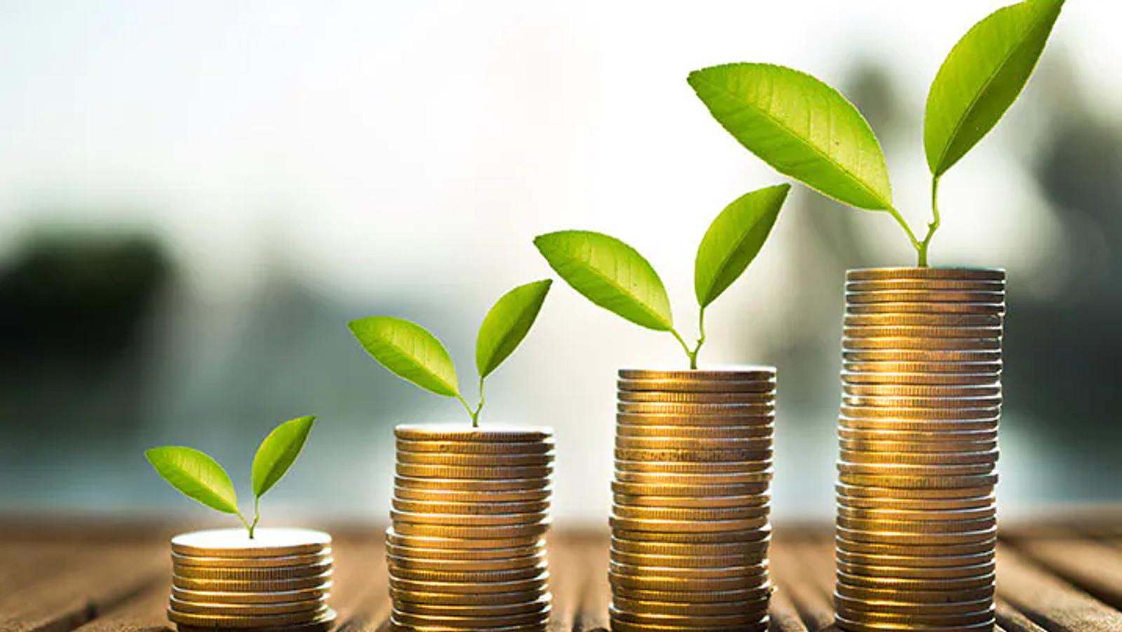 Achieving Financial Security: Key Steps to Follow