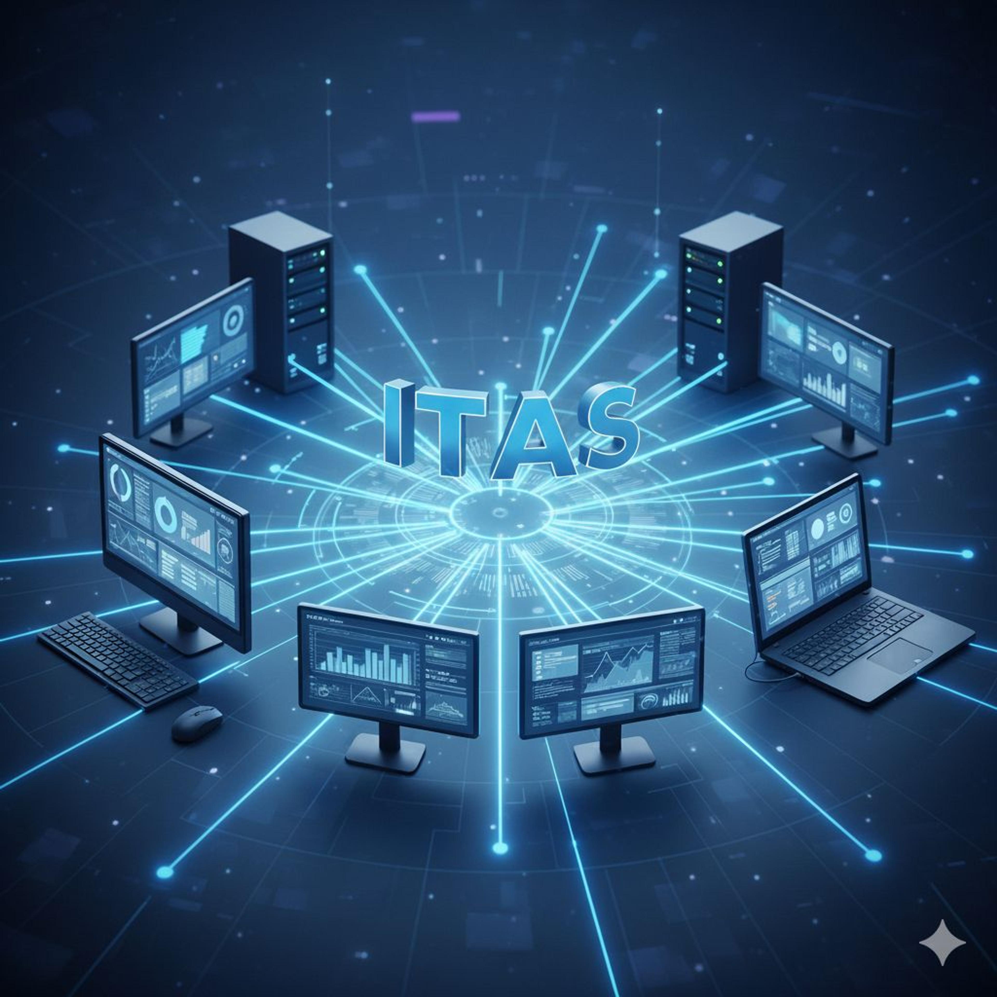 Overview of the Integrated Tax Administration System (ITAS) and its Impact on Taxpayers