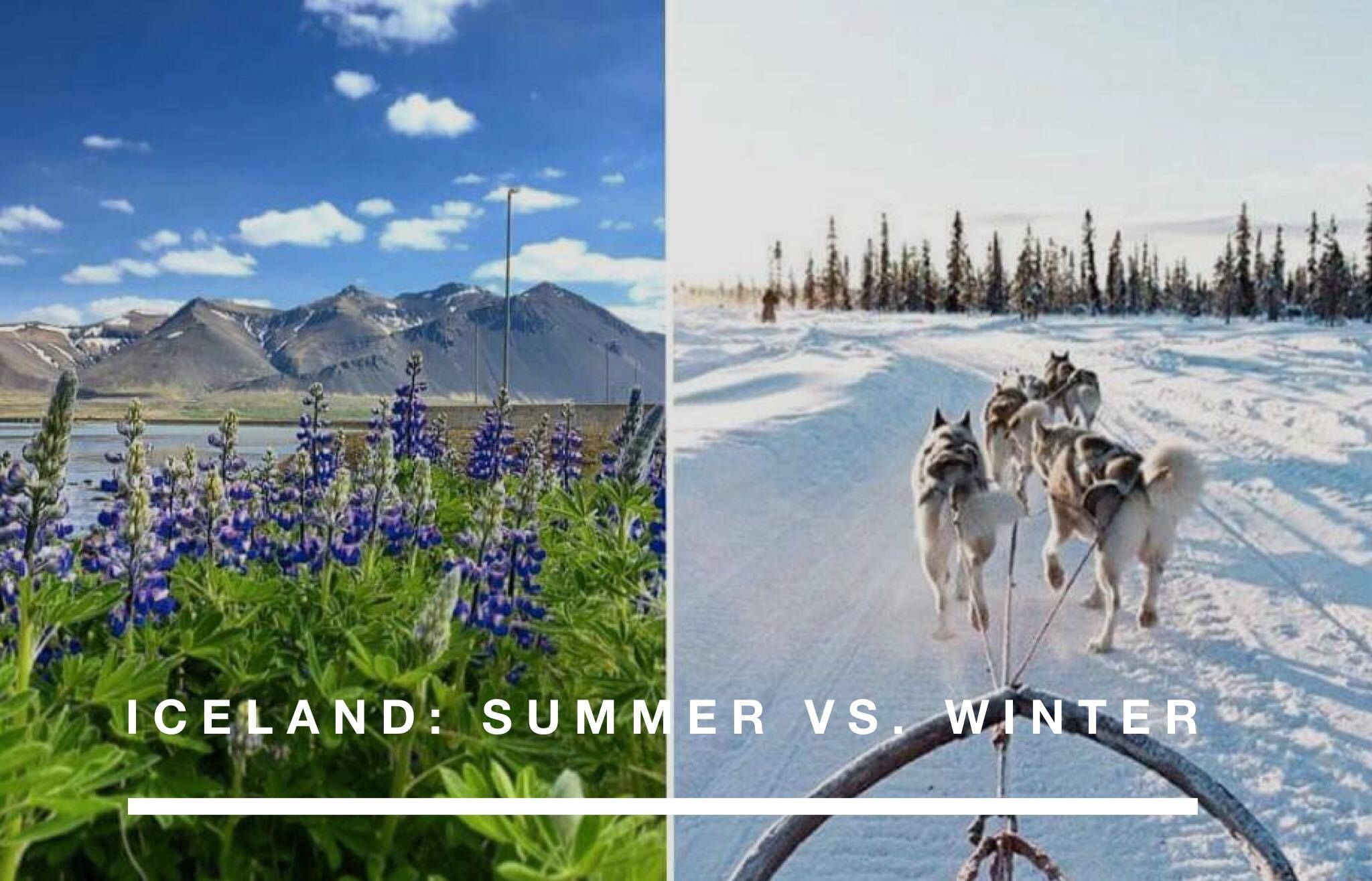 Best Time To Visit Iceland Summer Vs Winter Updated For 2021   8105ae2563f63fe5b763b2182fd34b8efdccbeb8 2048x1316 