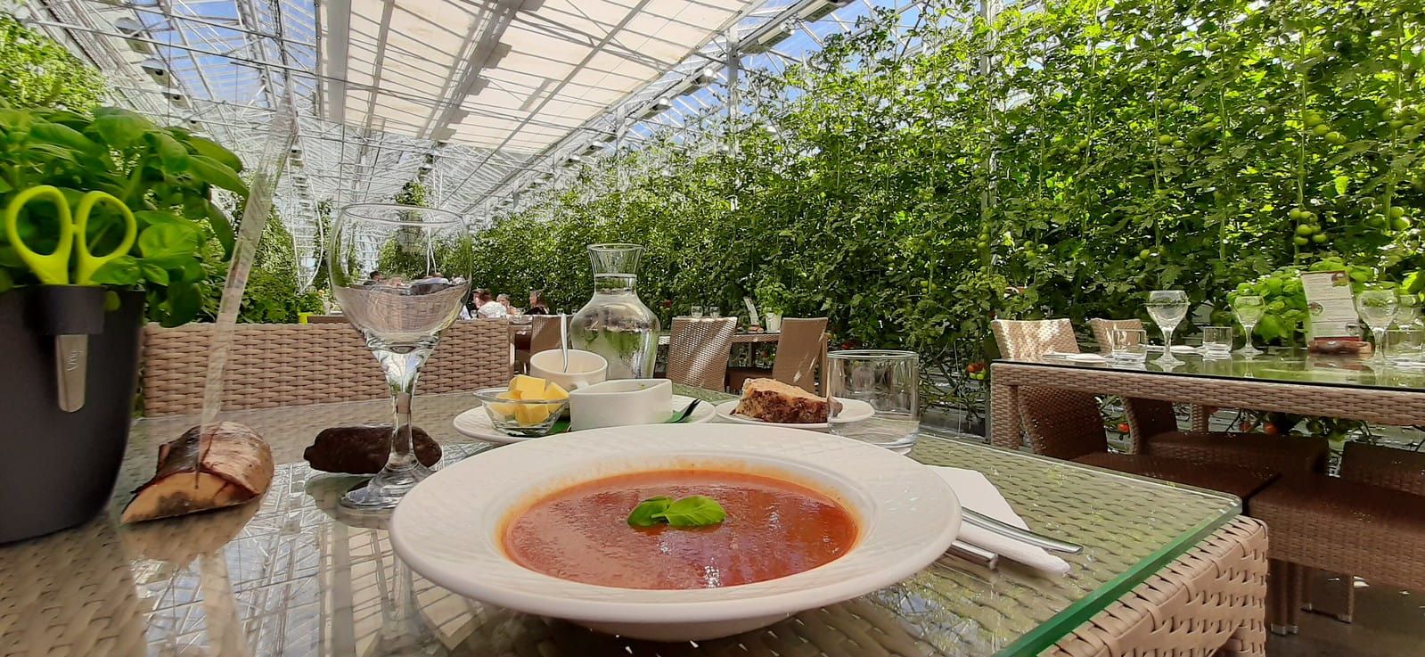 Friðheimar tomato farm and Golden Circle tour in Iceland