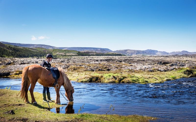 BEST HORSE RIDING TOUR IN ICELAND