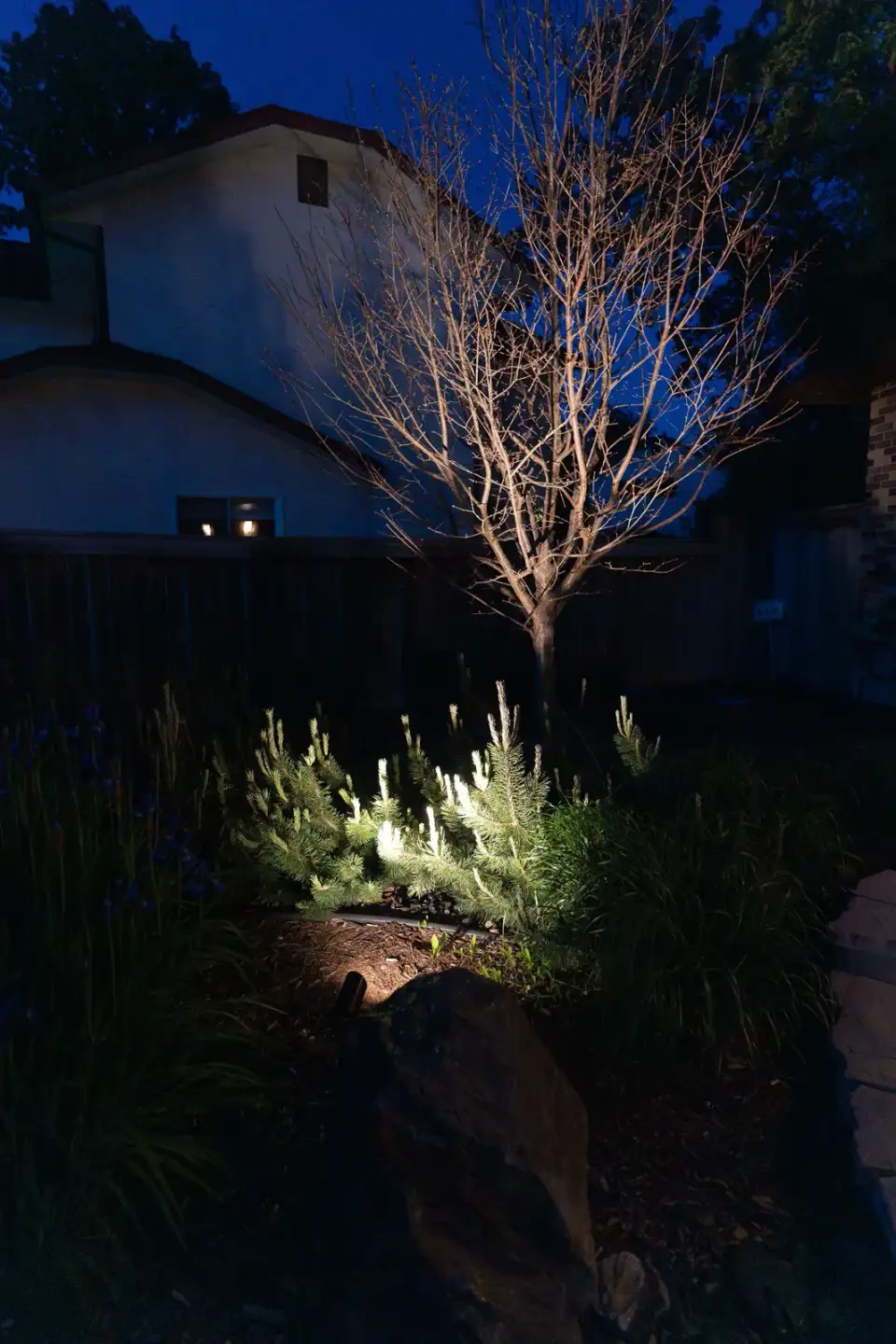 Stone retaining wall and tree lit by small landscape lights at night