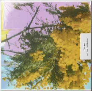 Cover of Into Dust (Still Falling)