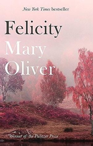 Cover of Felicity