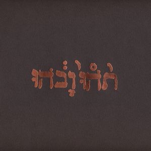 Cover of Slow Riot For New Zero Kanada E.P.
