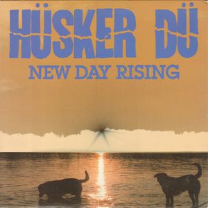 Cover of New Day Rising