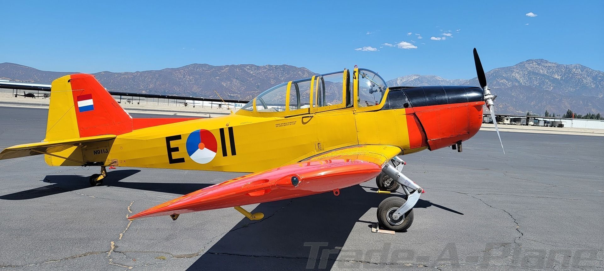 I saw a really cool plane (perennial)