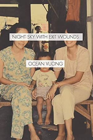 Cover of Night sky with exit wounds