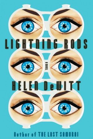 Cover of Lightning rods