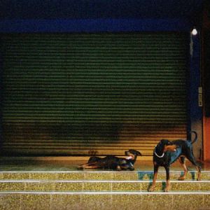 Cover of Pure Devotion