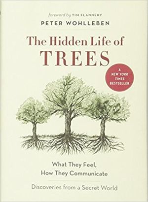 Cover of The Hidden Life of Trees