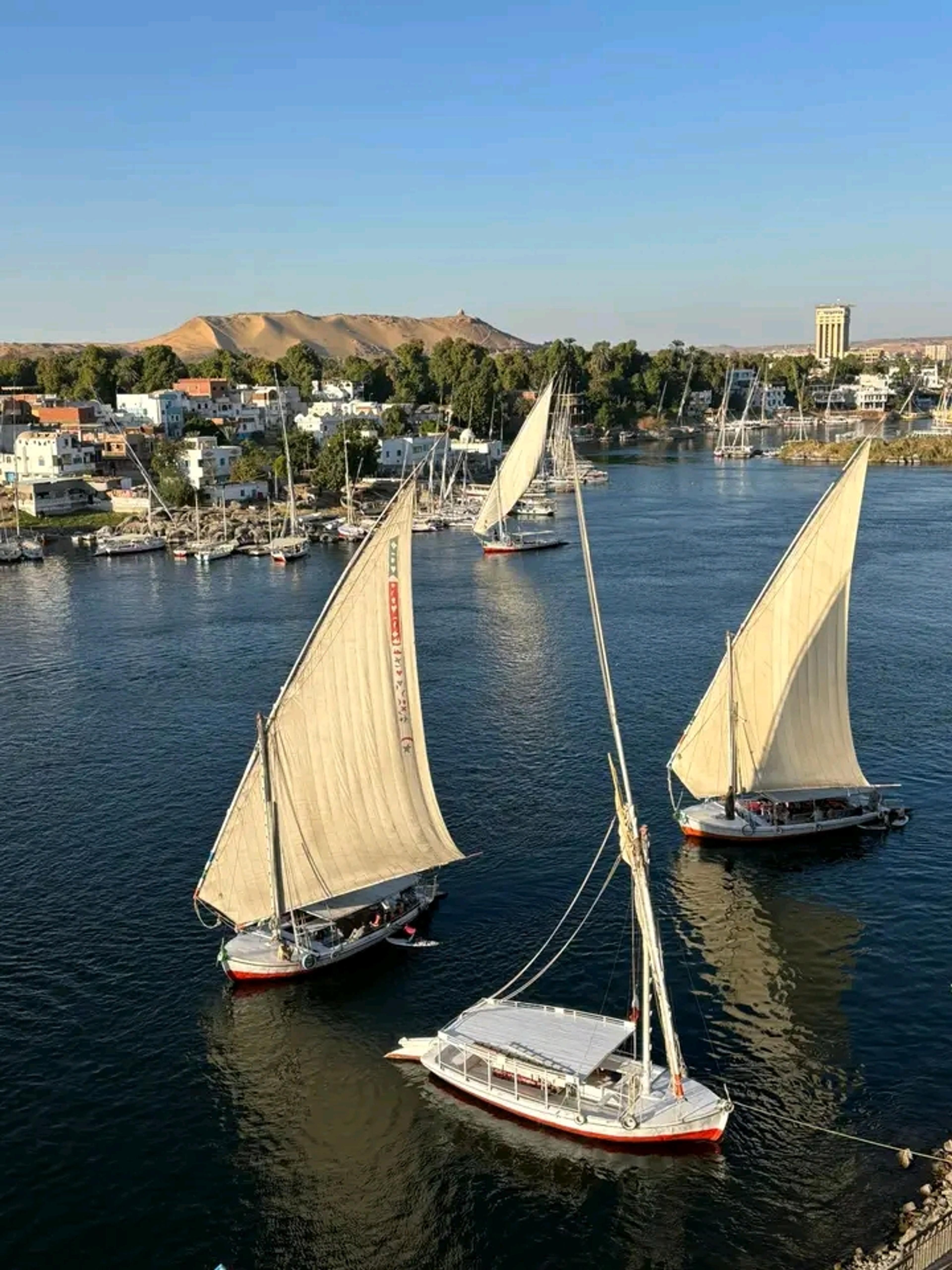 Felucca Sail around Elephantine Island & New Cataract 