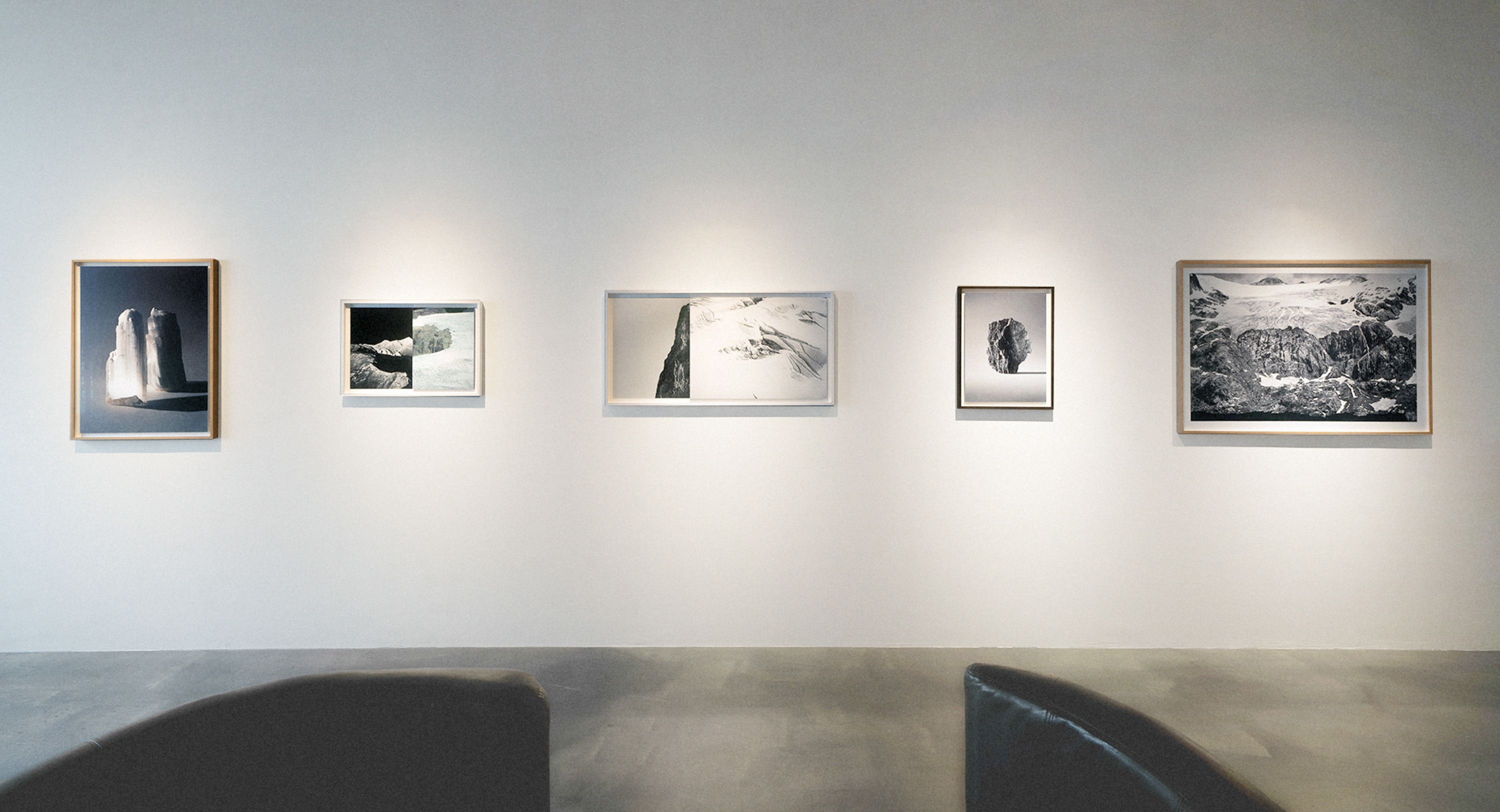 Webber | Octopus, Fondazione Sozzani