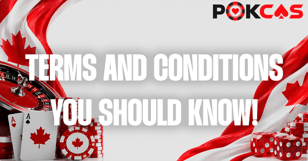 Key Terms And Conditions Everyone Should Master