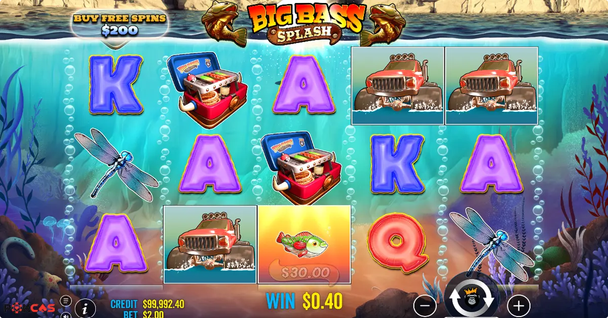 Big Bass Splash Features and Bonus Features